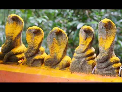 Serpent Gods' idols in Mannarasala Temple