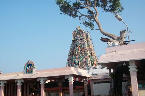 Palani Murugan Temple in Tamil Nadu