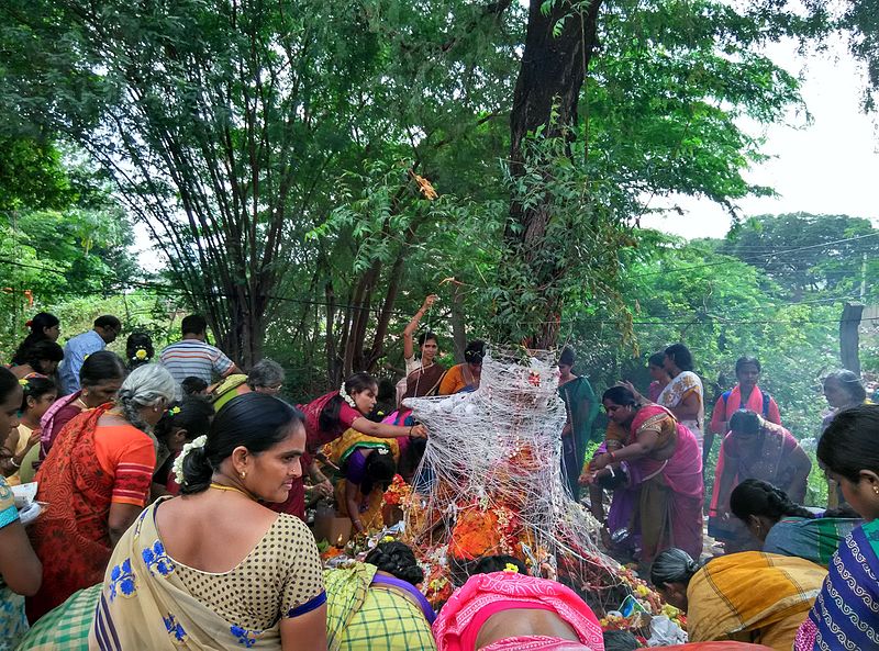 The Nag Panchami ceremony in India