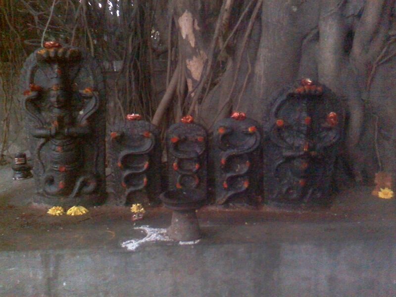 Snake deities on Nag Panchami