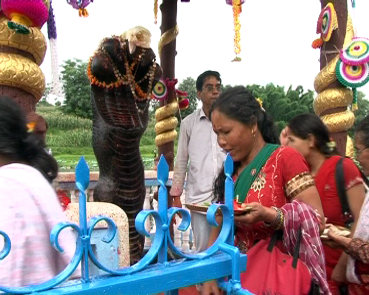 Nag Panchami worship of a snake deity