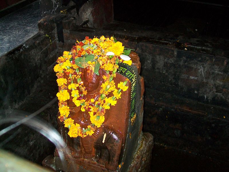 Idol worship on Shani Jayanti