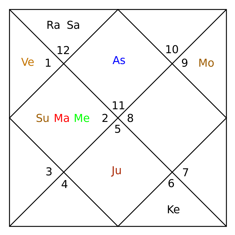 natal chart vedic astrology