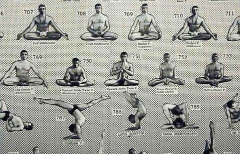 Dharma Yoga. The Shortcut to immortality. - Living Yogi Life - What to  expect going to Dharma Yoga