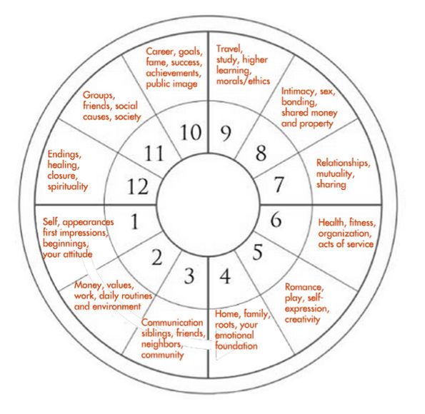 what is 10th house in astrology