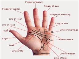 Lines Depicting Different Elements of Palmistry
