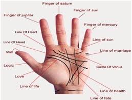 Palmistry And Astrology: Connection, Differences, And More! - Jothishi