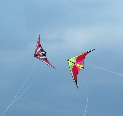 Flying kites