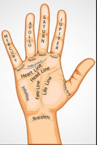 difference between palmistry and astrology