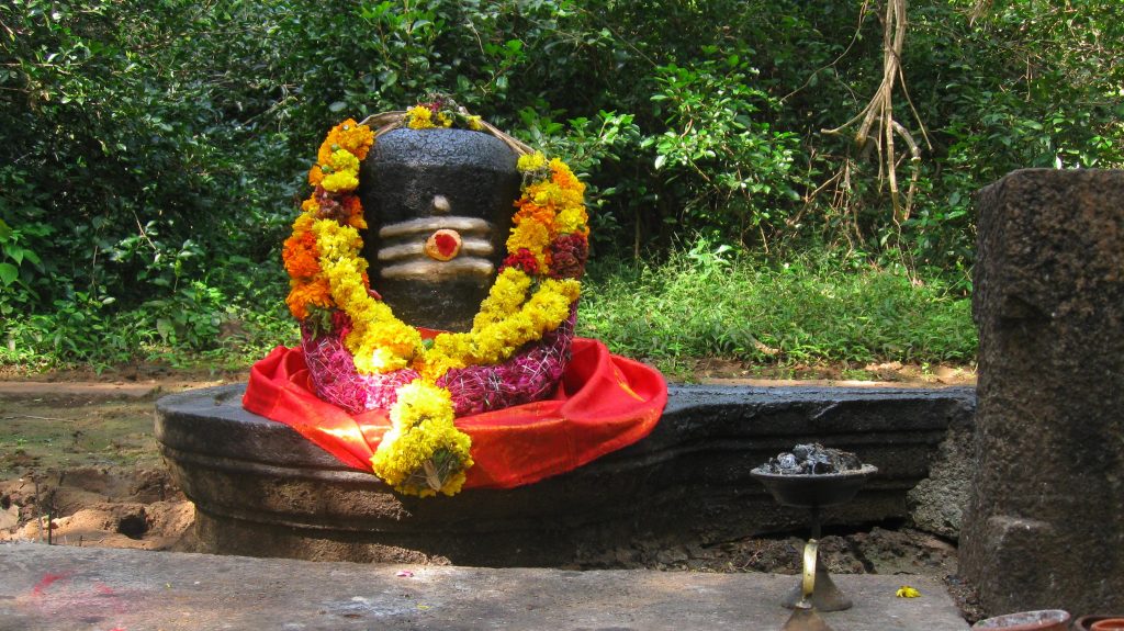 Shiva Linga puja in shravan month is considered very auspicious