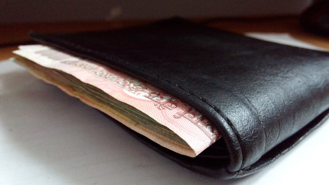 Wallet with Indian Money