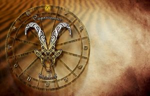 capricorn in 7th house vedic astrology