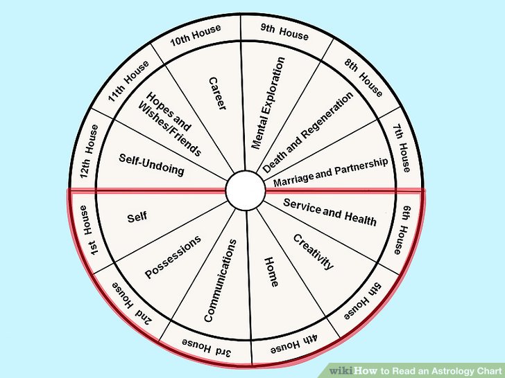 the 10th house in natal chart - Astrology for job