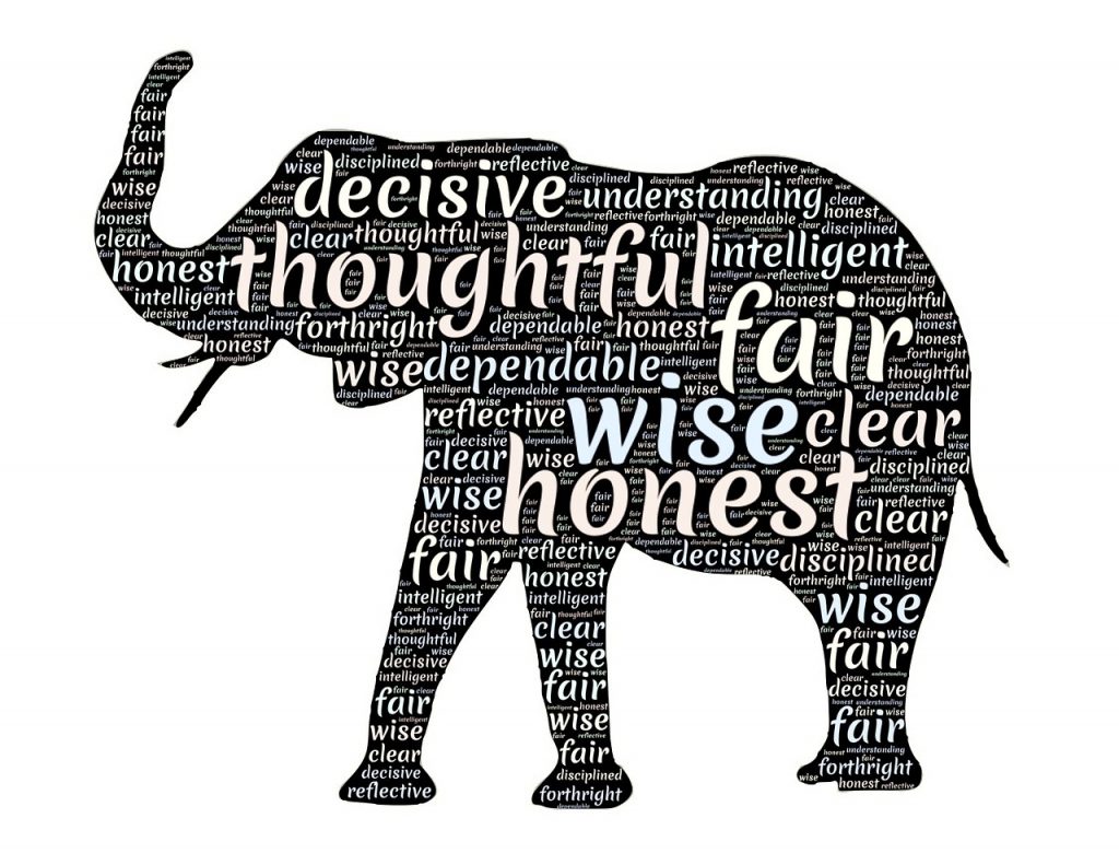 Elephant figure filled with personality types