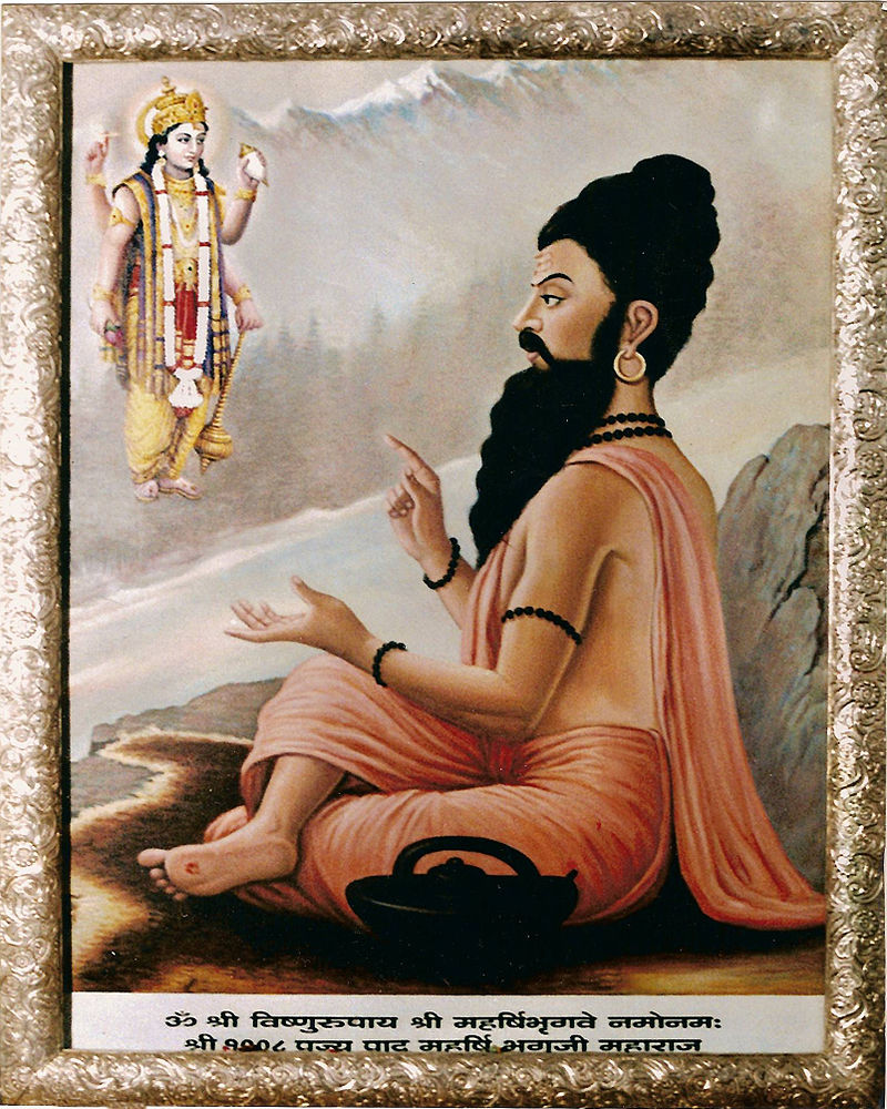 Maharishi Bhrigu, one of the Saptarishis 