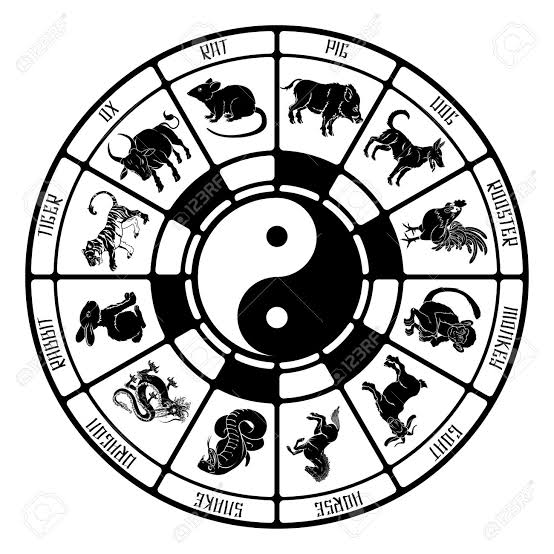 Yin Yang in Zodiac Signs