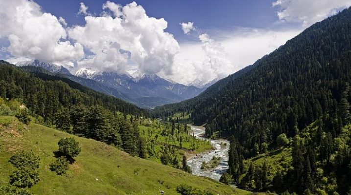 View of a Valley in Kashmir